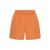 Cardinal Nylon Shorts swatch