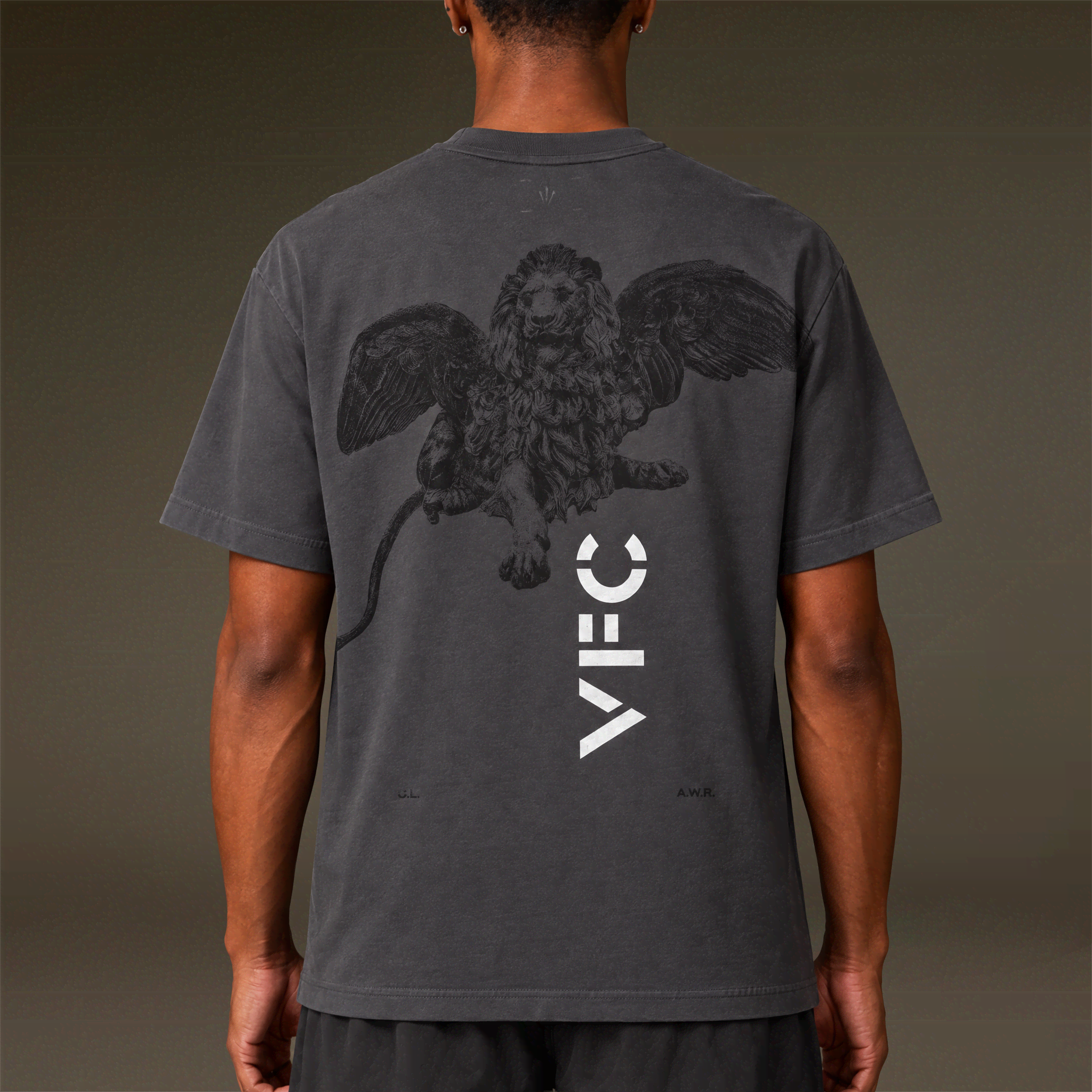 26/27 VFC Travel Lion Statue Tee Dark Grey - IMAGE 3