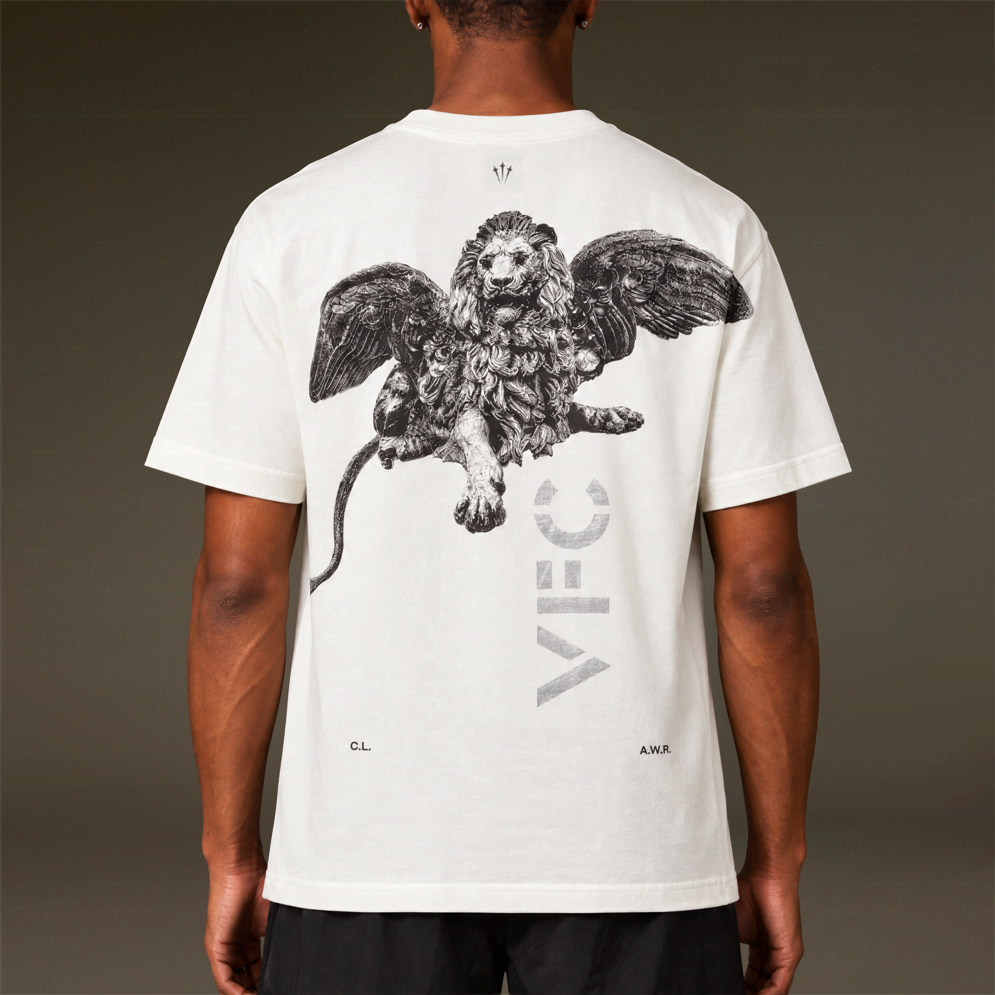 26/27 VFC Travel Lion Statue Tee White - IMAGE 3